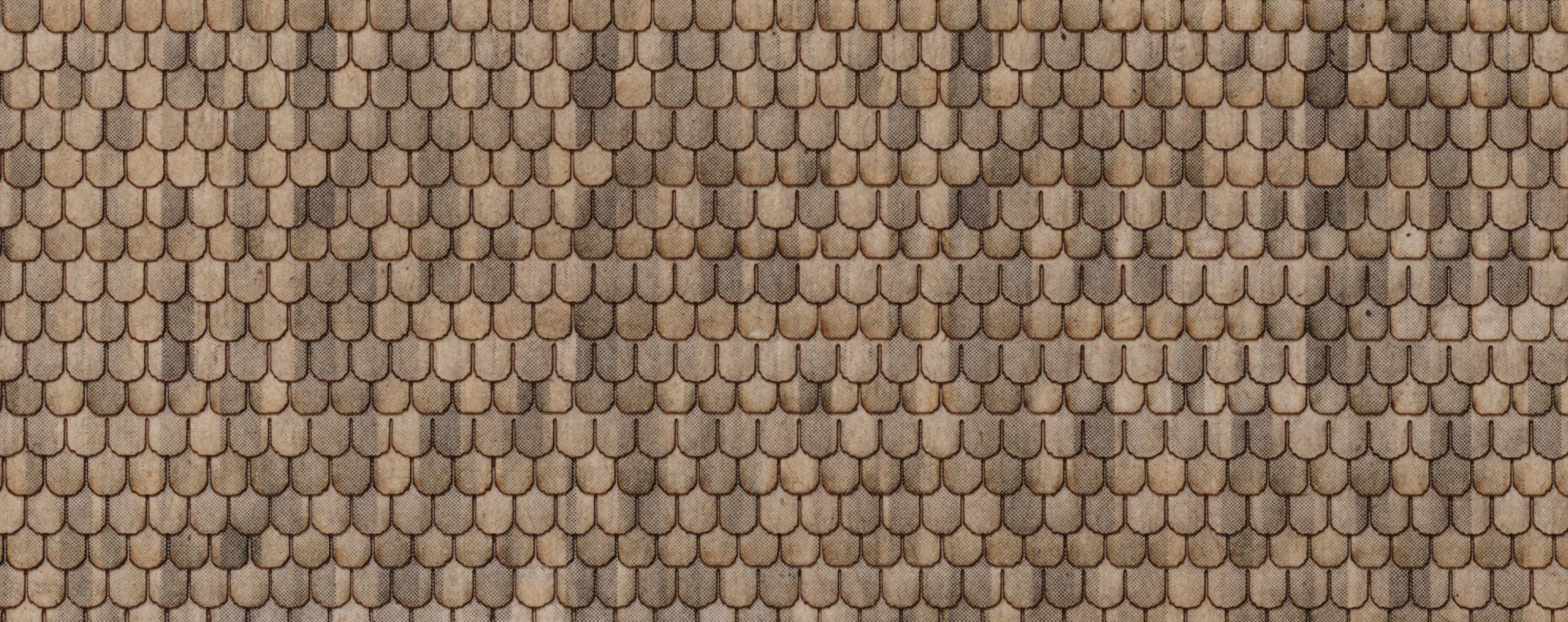 Northeastern Scale Lumber Co. HO ROOF SHINGLE/ SAND FISHSCALE